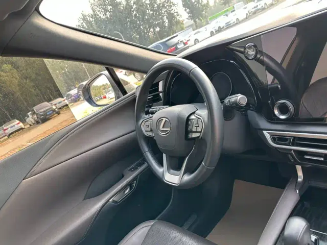 Lexus RX — Фото автомобиля 20