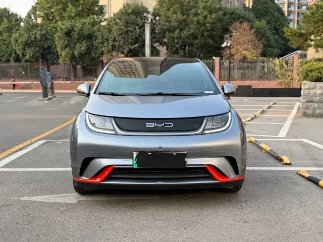BYD Dolphin — Фото автомобиля 2