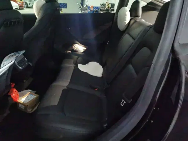 Tesla Model Y — Фото автомобиля 14
