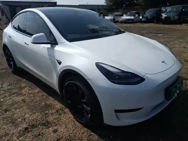 Tesla Model Y — Фото автомобиля 3