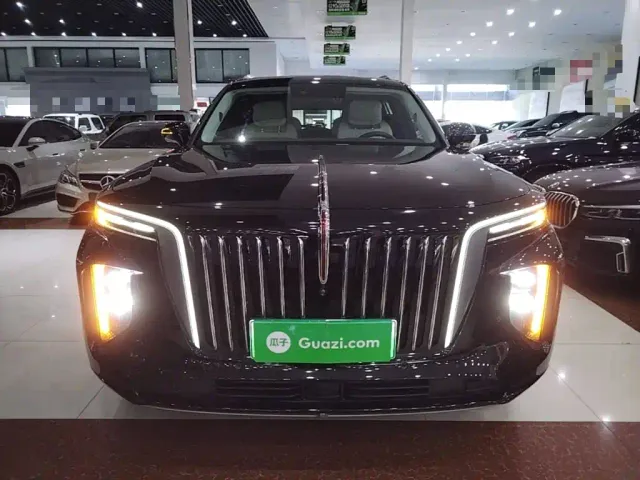 Hongqi E-HS9 — Фото автомобиля 2