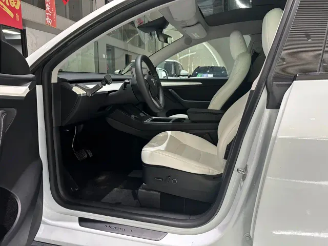 Tesla Model Y — Фото автомобиля 11