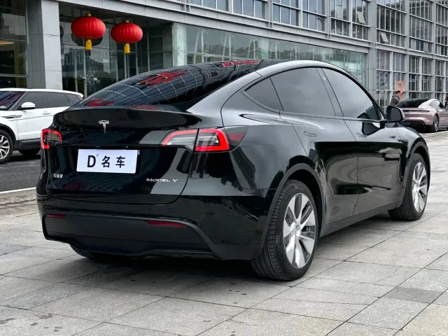 Tesla Model Y — Фото автомобиля 13