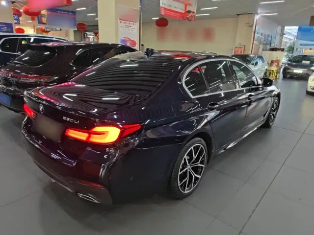 BMW 5 Series — Фото автомобиля 6