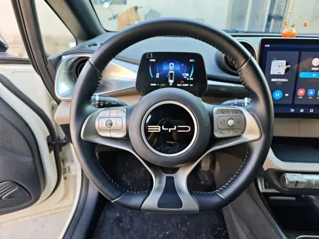 BYD Dolphin — Фото автомобиля 10