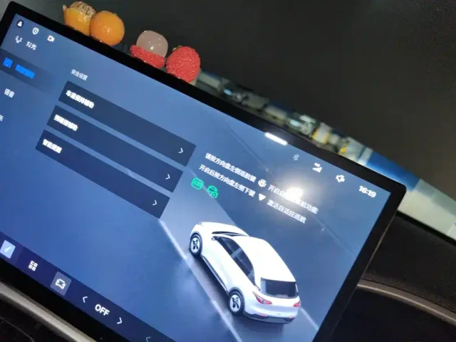 Geely Starry Wish — Фото автомобиля 20