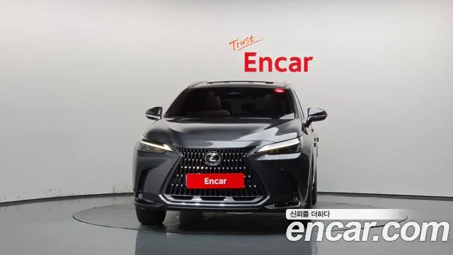 Lexus NX 2nd Gen — Фото автомобиля 3