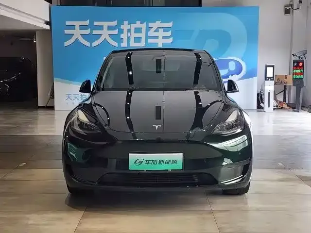 Tesla Model Y — Фото автомобиля 2