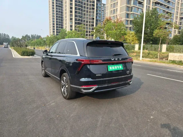 Wey Lanshan — Фото автомобиля 7