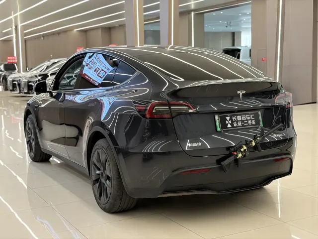 Tesla Model Y — Фото автомобиля 6