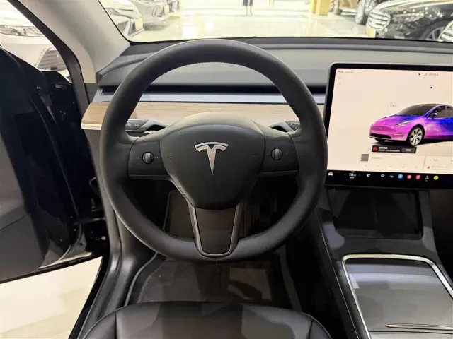 Tesla Model Y — Фото автомобиля 15