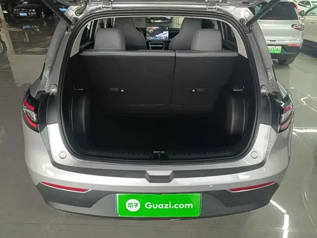 Geely Starry Wish — Фото автомобиля 18