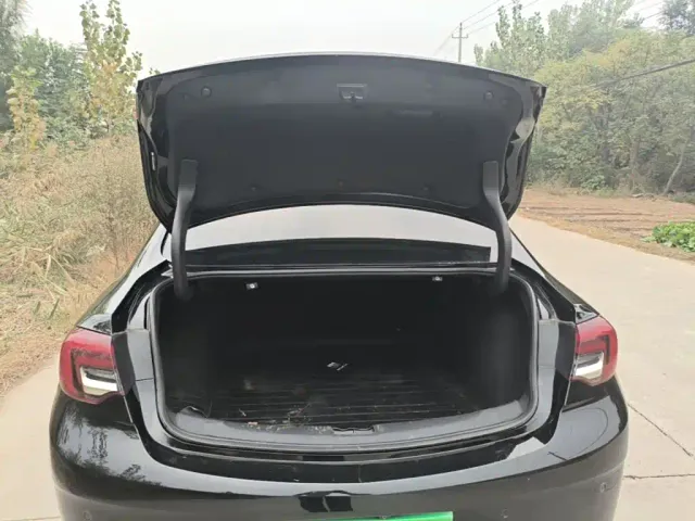 Buick Regal — Фото автомобиля 18