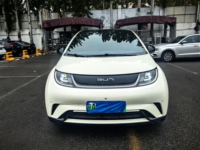 BYD Dolphin — Фото автомобиля 4