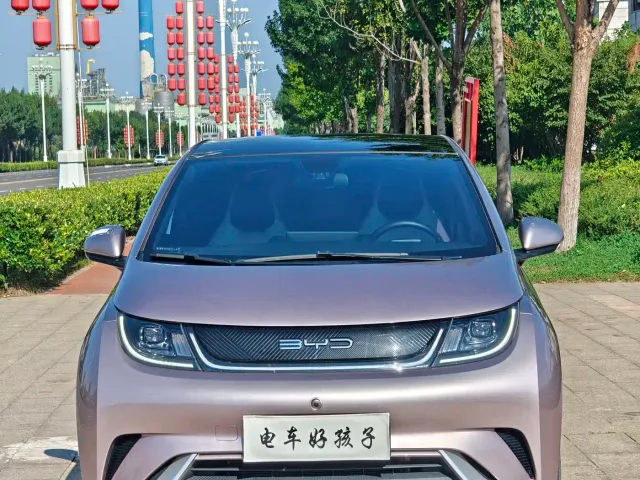 BYD Dolphin — Фото автомобиля 2