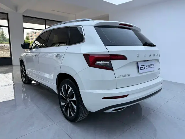 Skoda Karoq — Фото автомобиля 6