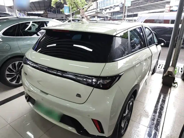 BYD Dolphin — Фото автомобиля 6