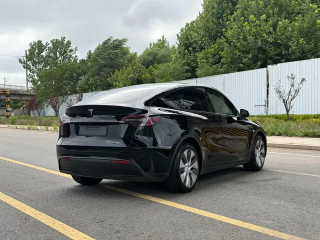 Tesla Model Y — Фото автомобиля 9