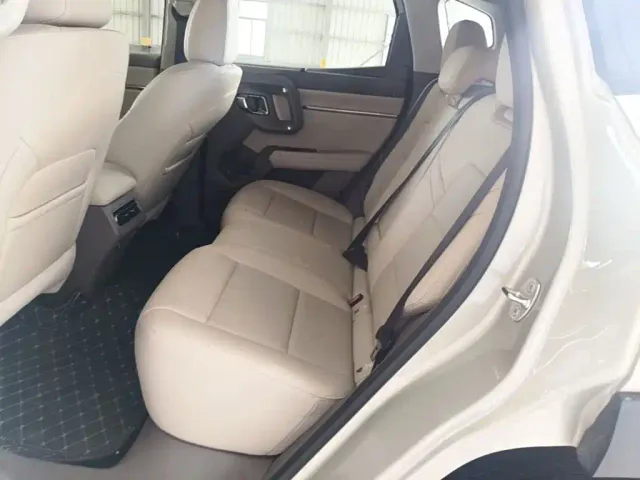 Haval Big Dog — Фото автомобиля 16