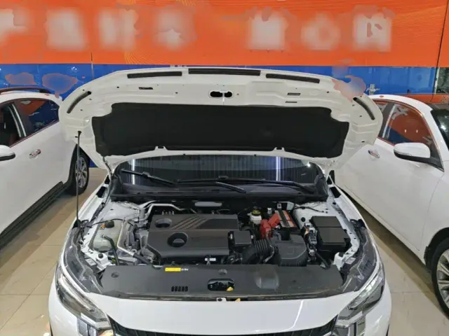 Nissan Sylphy — Фото автомобиля 19