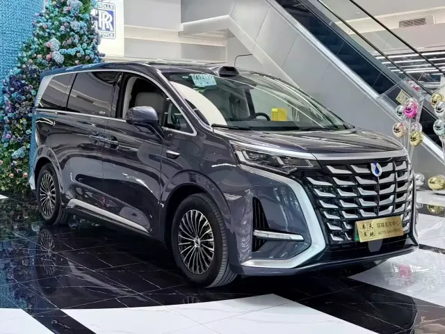 Denza D9 — Фото автомобиля 3