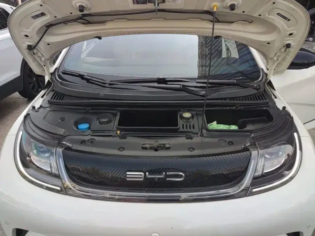 BYD Dolphin — Фото автомобиля 19