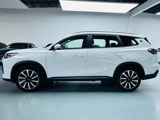 Chery Fengyun T8 — Фото автомобиля 12