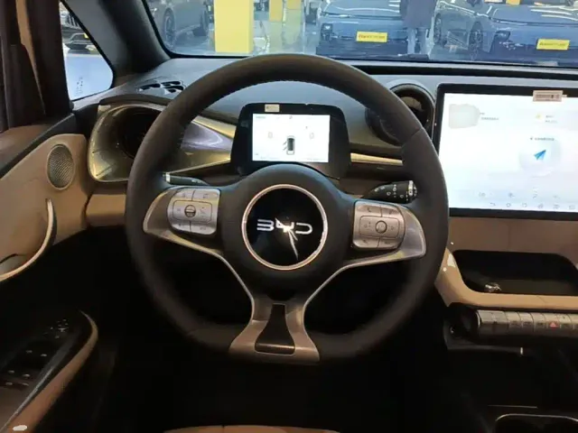 BYD Dolphin — Фото автомобиля 10