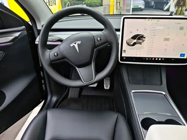 Tesla Model Y — Фото автомобиля 10