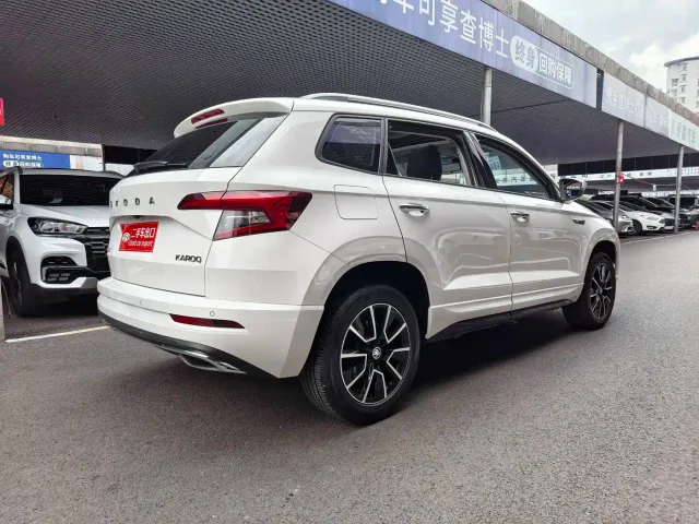 Skoda Karoq — Фото автомобиля 6