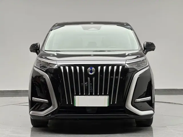 Denza D9 — Фото автомобиля 3