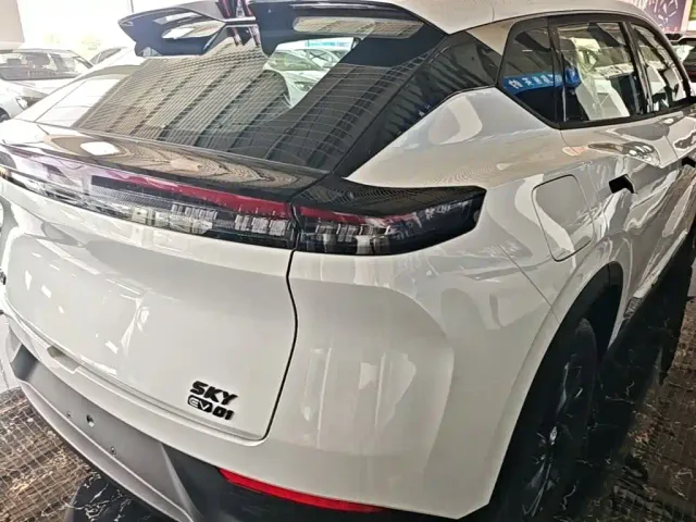 Dongfeng SKY EV01 — Фото автомобиля 23