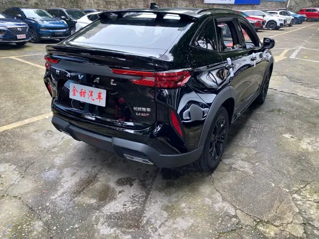 Haval H6S — Фото автомобиля 6