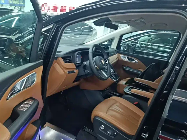Hongqi HQ9 PHEV — Фото автомобиля 15