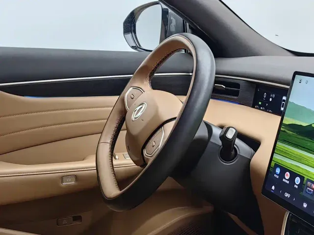 Dongfeng Aeolus L8 — Фото автомобиля 22