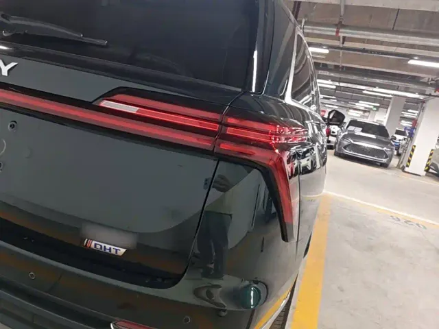 Wey Lanshan — Фото автомобиля 7