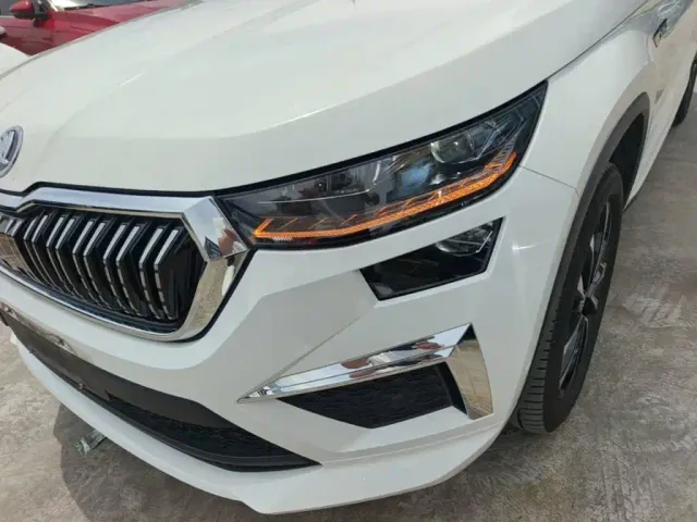Skoda Kodiaq — Фото автомобиля 23