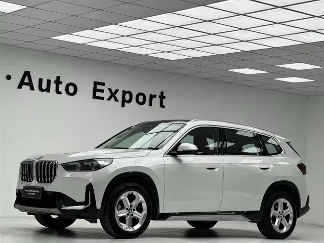 BMW X1 — Фото автомобиля 11
