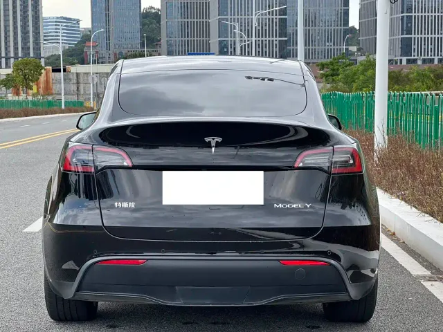 Tesla Model Y — Фото автомобиля 8