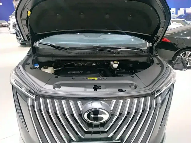 GAC Trumpchi M8 — Фото автомобиля 19