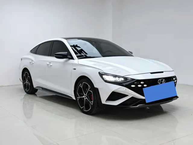Hyundai Fista — Фото автомобиля 13