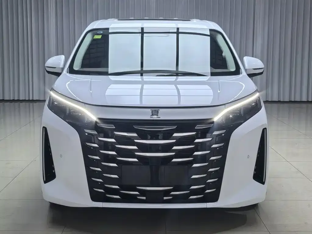BYD Xia 2025 DM-i 1.5T 180km Surpass Edition — Фото автомобиля 21