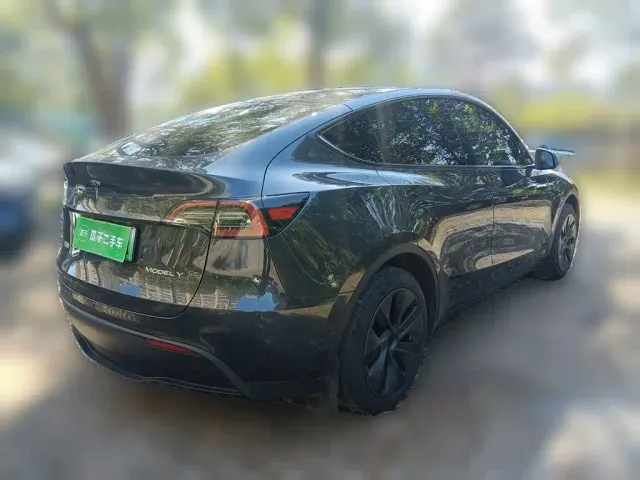 Tesla Model Y — Фото автомобиля 6