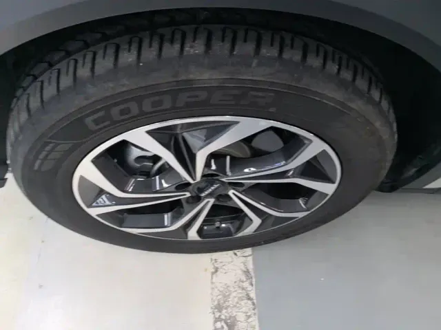 Haval Xiaolong MAX — Фото автомобиля 22