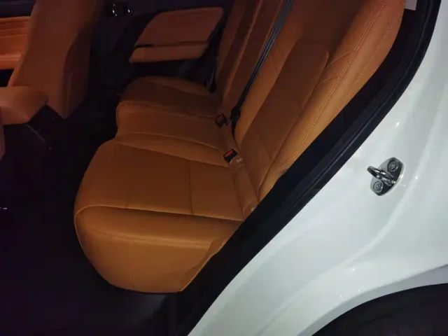 Haval Raptor — Фото автомобиля 13