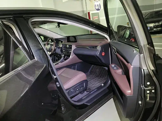 Lexus RX — Фото автомобиля 13