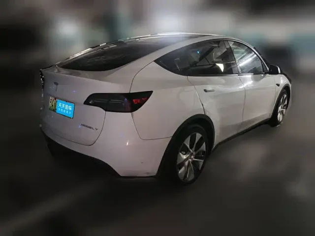 Tesla Model Y — Фото автомобиля 2