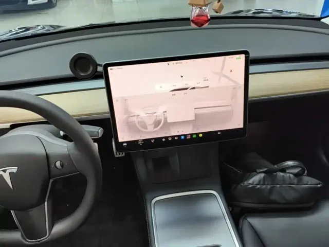 Tesla Model 3 — Фото автомобиля 9