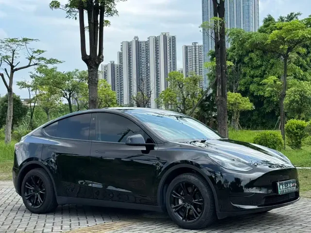 Tesla Model Y — Фото автомобиля 3