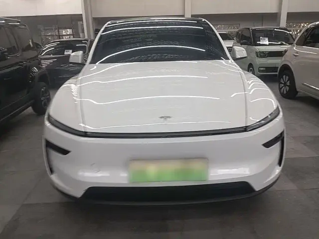 Tesla Model Y — Фото автомобиля 2